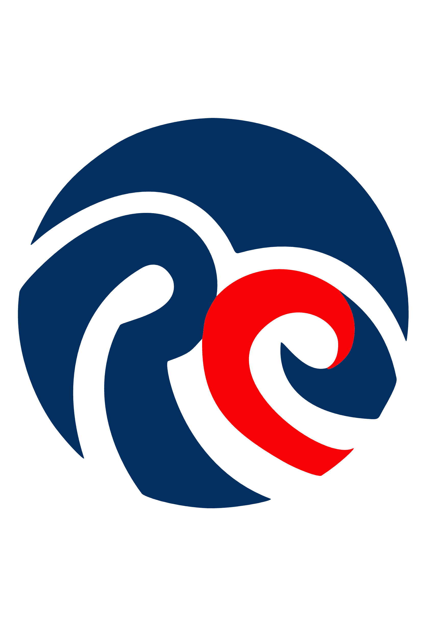 REIN